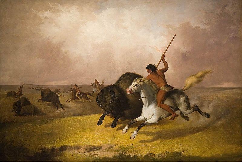 John Mix Stanley Buffalo Hunt on the Southwestern Prairies Germany oil painting art